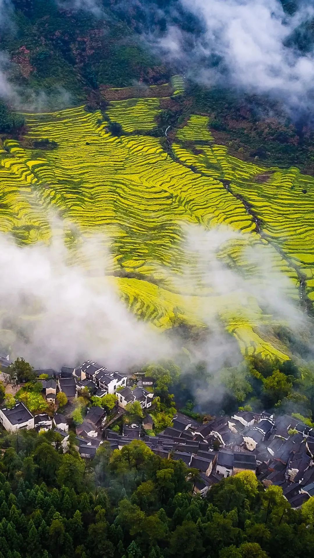 江西,红土地上的绿色传奇之旅