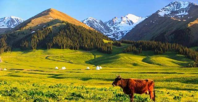 新疆丝路传奇,梦想邂逅的异域魅力之旅