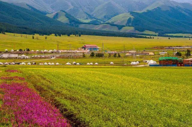 绿色冬奥，张家口开启绿色发展新篇章